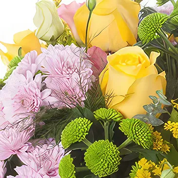 Sa Indioteria blomster- Gul samling Blomsterarrangementer bukett