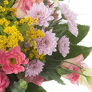Sa Indioteria blomster- Gul samling Blomsterarrangementer bukett