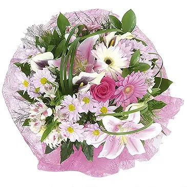 Sa Indioteria blomster- Rosa Fantasy Blomsterarrangementer bukett