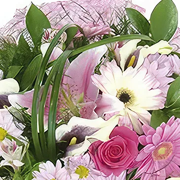 Sa Indioteria blomster- Rosa Fantasy Blomsterarrangementer bukett