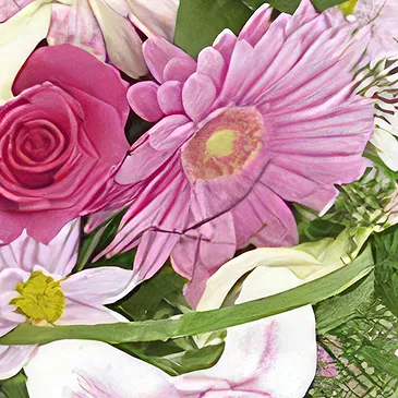 Sa Indioteria blomster- Rosa Fantasy Blomsterarrangementer bukett