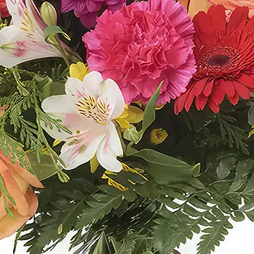 Sa Indioteria blomster- Crimson Petal Joy Blomsterarrangementer bukett