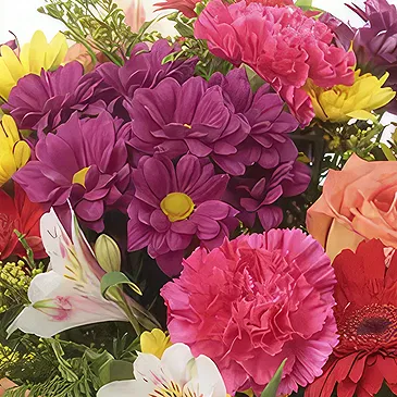 Sa Indioteria blomster- Crimson Petal Joy Blomsterarrangementer bukett
