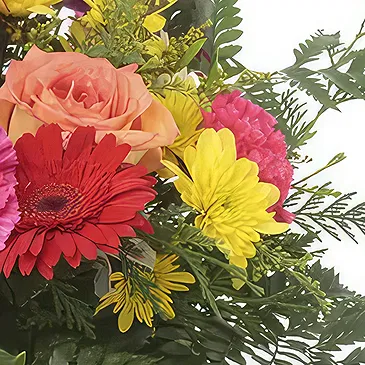 Sa Indioteria blomster- Crimson Petal Joy Blomsterarrangementer bukett