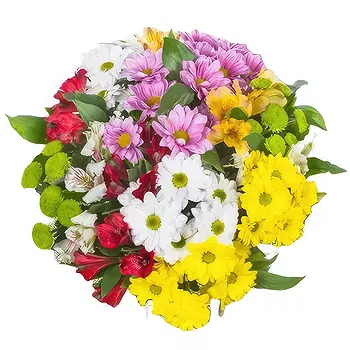 Sa Indioteria blomster- Scarlet Bloom Charm Blomst Levering
