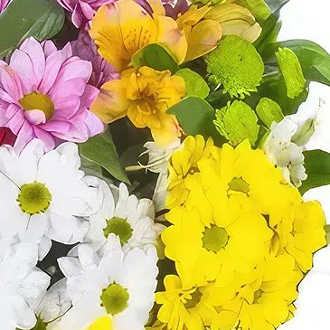 Sa Indioteria blomster- Scarlet Bloom Charm Blomsterarrangementer bukett