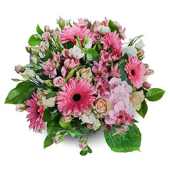 Sa Indioteria blomster- En ny dag Blomst Levering