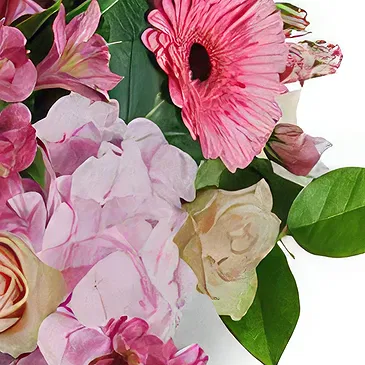 Sa Indioteria blomster- En ny dag Blomsterarrangementer bukett