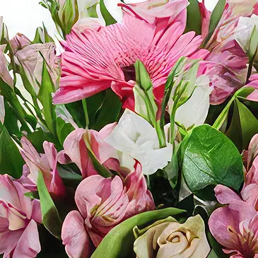 Sa Indioteria blomster- En ny dag Blomsterarrangementer bukett