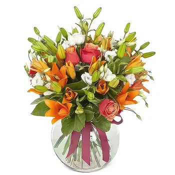 Sa Indioteria blomster- munter samling Blomst Levering