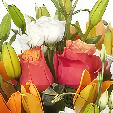 Sa Indioteria blomster- munter samling Blomsterarrangementer bukett