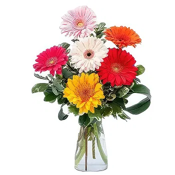 Sa Indioteria blomster- Royal Fantasy Blomst Levering