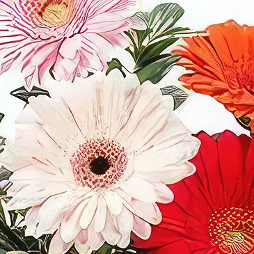 Sa Indioteria blomster- Royal Fantasy Blomsterarrangementer bukett