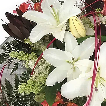 Sa Indioteria blomster- Eterisk hvit serenade Blomsterarrangementer bukett