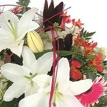 Sa Indioteria blomster- Eterisk hvit serenade Blomsterarrangementer bukett