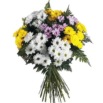 Sa Indioteria blomster- Floral eleganse Blomst Levering