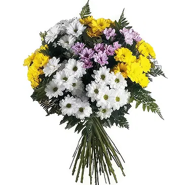 Sa Indioteria blomster- Floral eleganse Blomsterarrangementer bukett