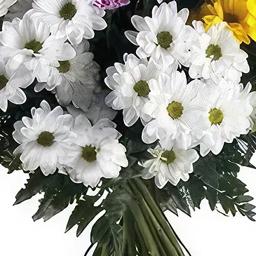 Sa Indioteria blomster- Floral eleganse Blomsterarrangementer bukett