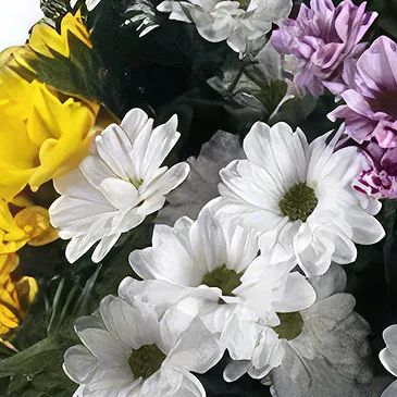 Sa Indioteria blomster- Floral eleganse Blomsterarrangementer bukett