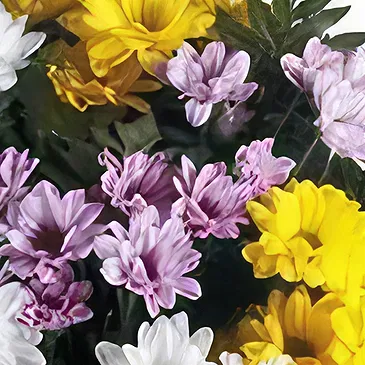 Sa Indioteria blomster- Floral eleganse Blomsterarrangementer bukett