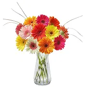 Sa Indioteria Online blomsterbutikk - Paradiset Bukett