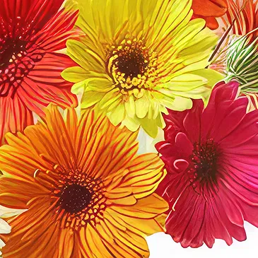 Sa Indioteria blomster- Paradiset Blomsterarrangementer bukett