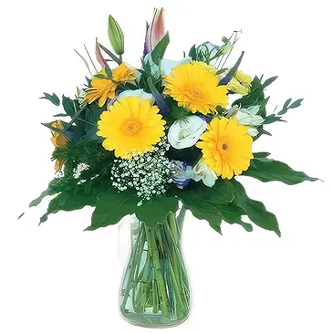 Sa Indioteria blomster- Scarlet Bloom Choice Blomsterarrangementer bukett