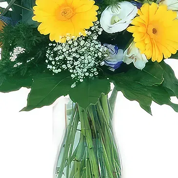 Sa Indioteria blomster- Scarlet Bloom Choice Blomsterarrangementer bukett