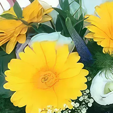 Sa Indioteria blomster- Scarlet Bloom Choice Blomsterarrangementer bukett
