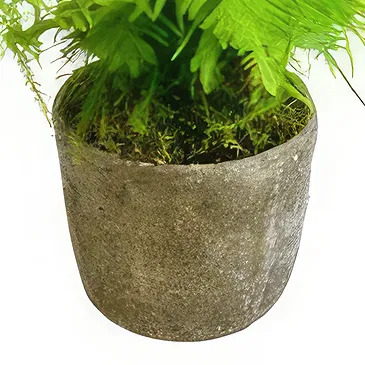 Birmingham flowers  -  Lush Leafy Luxury Flower Bouquet/Arrangement