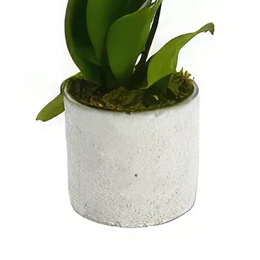 Birmingham flowers  -  Green Serenity Surprise Flower Bouquet/Arrangement