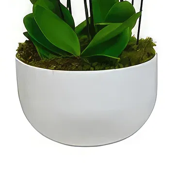 Birmingham flowers  -  Orchid Elegance Flower Bouquet/Arrangement