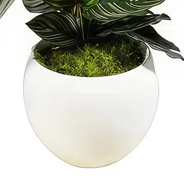 Birmingham flowers  -  Velvet Orchid Luxuries Flower Bouquet/Arrangement