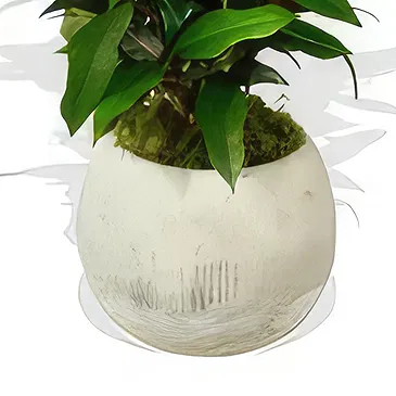 Birmingham flowers  -  Blooming Botany Box Flower Bouquet/Arrangement