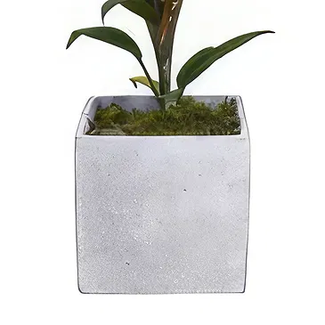 Birmingham flowers  -  Verdant Oasis Collection Flower Bouquet/Arrangement