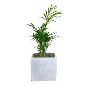 Bristol online Florist - Tropical Tranquility Treasures Bouquet