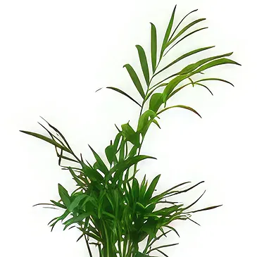 Birmingham flowers  -  Tropical Tranquility Treasures Flower Bouquet/Arrangement