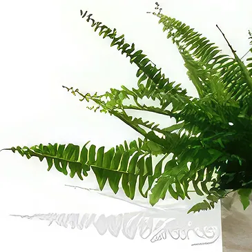 Birmingham flowers  -  Zen Garden Delight Flower Bouquet/Arrangement