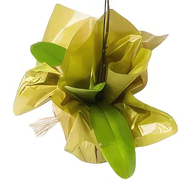 flores Sao Paulo floristeria -  Para regalo Ramo de flores/arreglo floral
