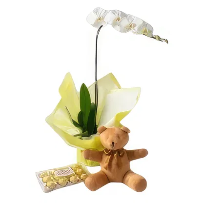 Brasil blomster-  Blomsterarrangementer bukett