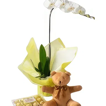 flores Sao Paulo floristeria -  caja de amor Ramo de flores/arreglo floral