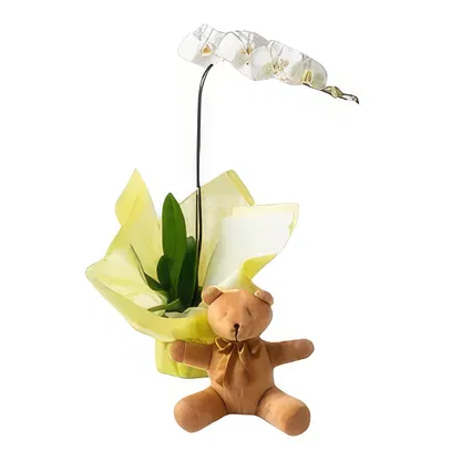 Brasil blomster-  Blomsterarrangementer bukett