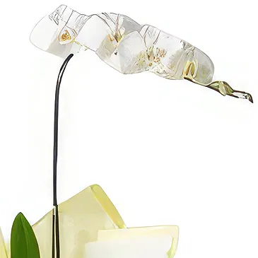 flores Sao Paulo floristeria -  Elección ejecutiva Ramo de flores/arreglo floral