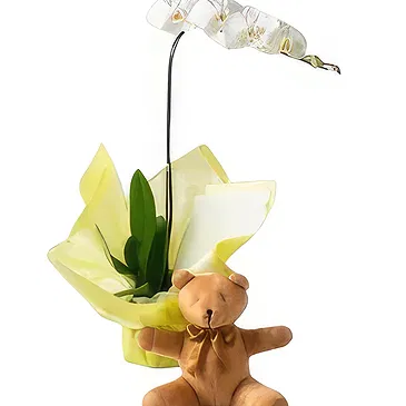 flores Sao Paulo floristeria -  Elección ejecutiva Ramo de flores/arreglo floral