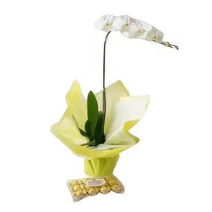 Brasil blomster-  Blomsterarrangementer bukett