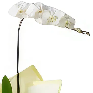 flores Sao Paulo floristeria -  Regalo elegante Ramo de flores/arreglo floral
