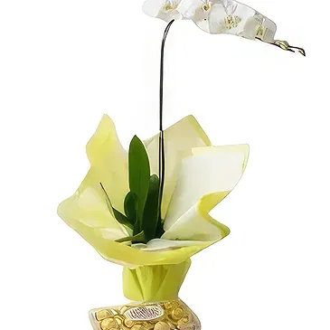 flores Sao Paulo floristeria -  Regalo elegante Ramo de flores/arreglo floral