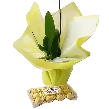 flores Sao Paulo floristeria -  Regalo elegante Ramo de flores/arreglo floral