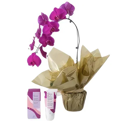 Brasil blomster-  Blomsterarrangementer bukett