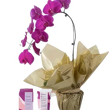 flores Sao Paulo floristeria -  Regalo rosa Ramo de flores/arreglo floral